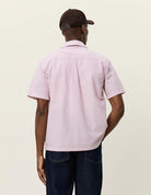 1001383-612-crocus-pink-0394.jpg