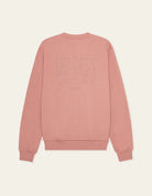 1001507-616-ash-rose-pink-02.jpg