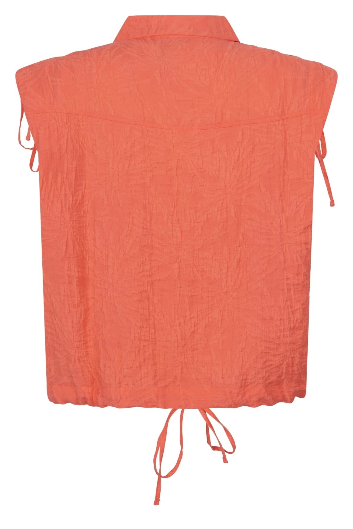 0075 Coral