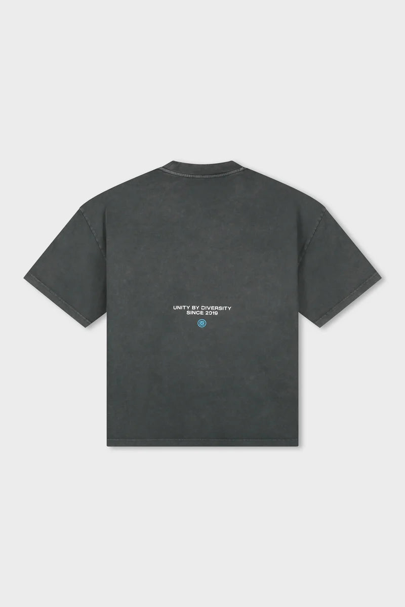 ELAN_BOXY_FIT_TEE_WASHED_GREY_Back