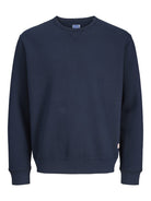 Jack & Jones Trui JPRBLUCALEB 12295206 - Sky Captain